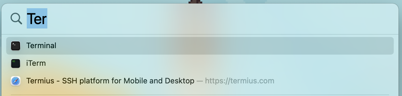 Spotlight Search Terminal