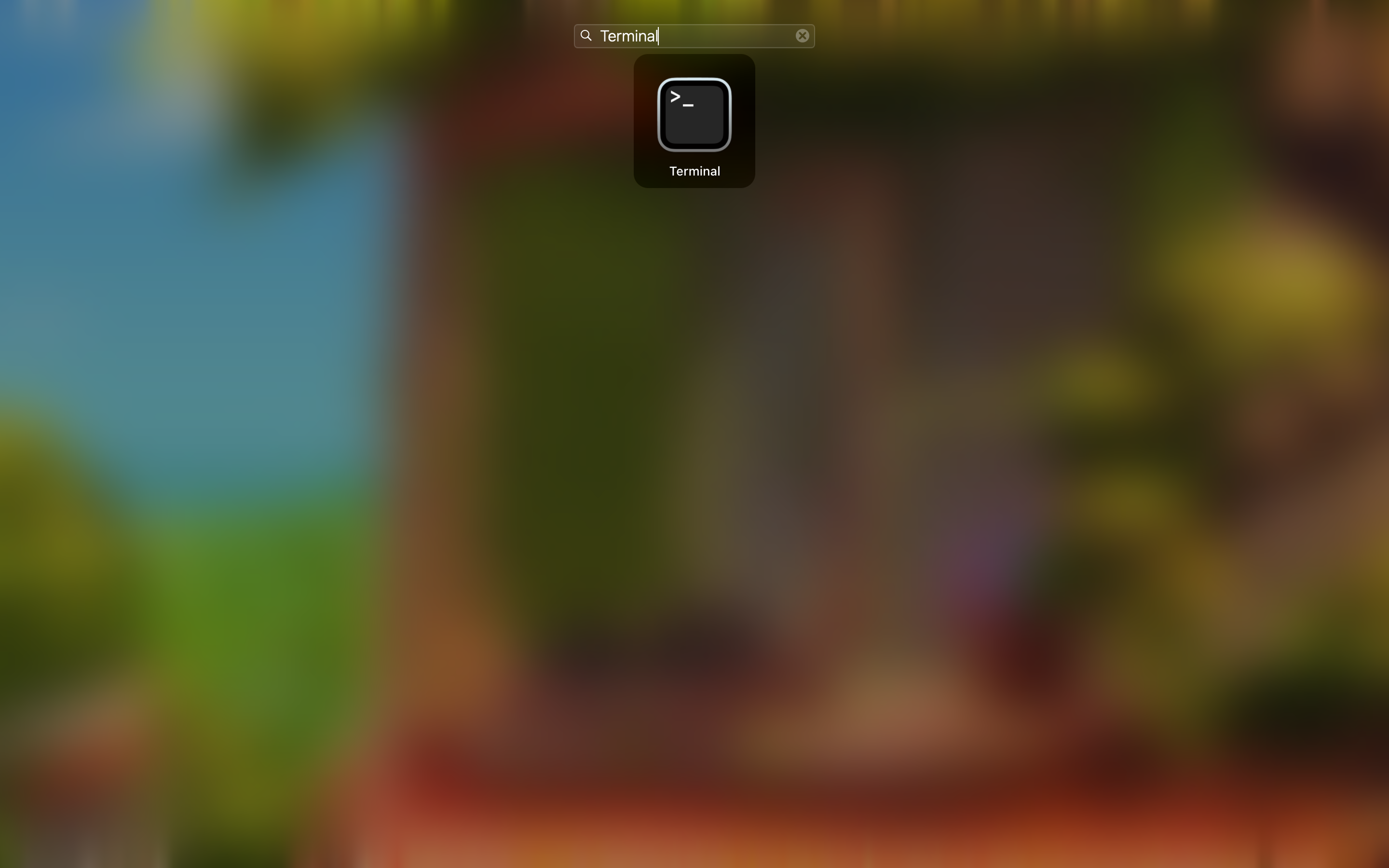 Terminal in Launchpad