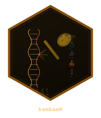 bambamR logo