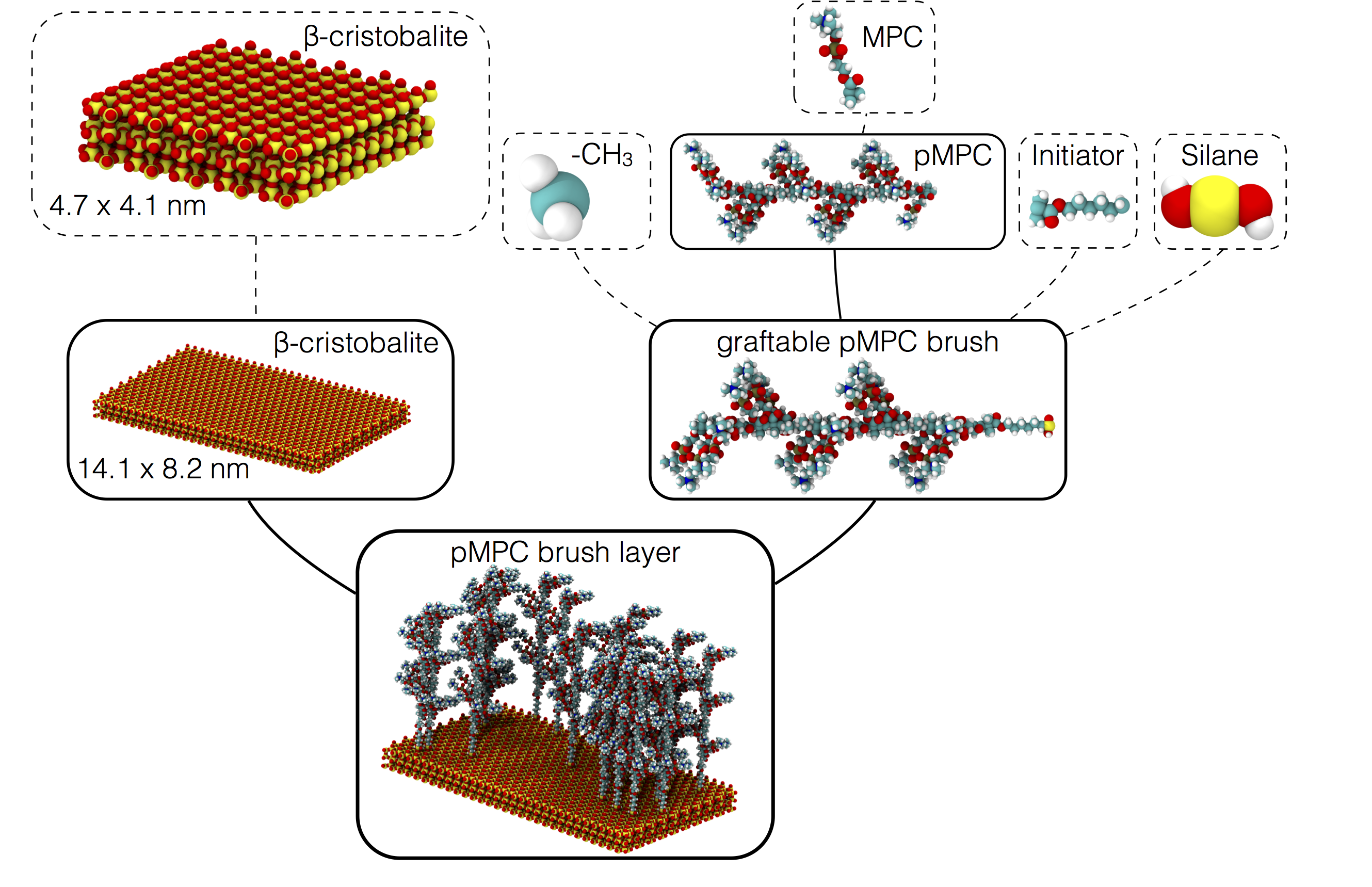 Zwitterionic brushes on beta-cristobalite substrate