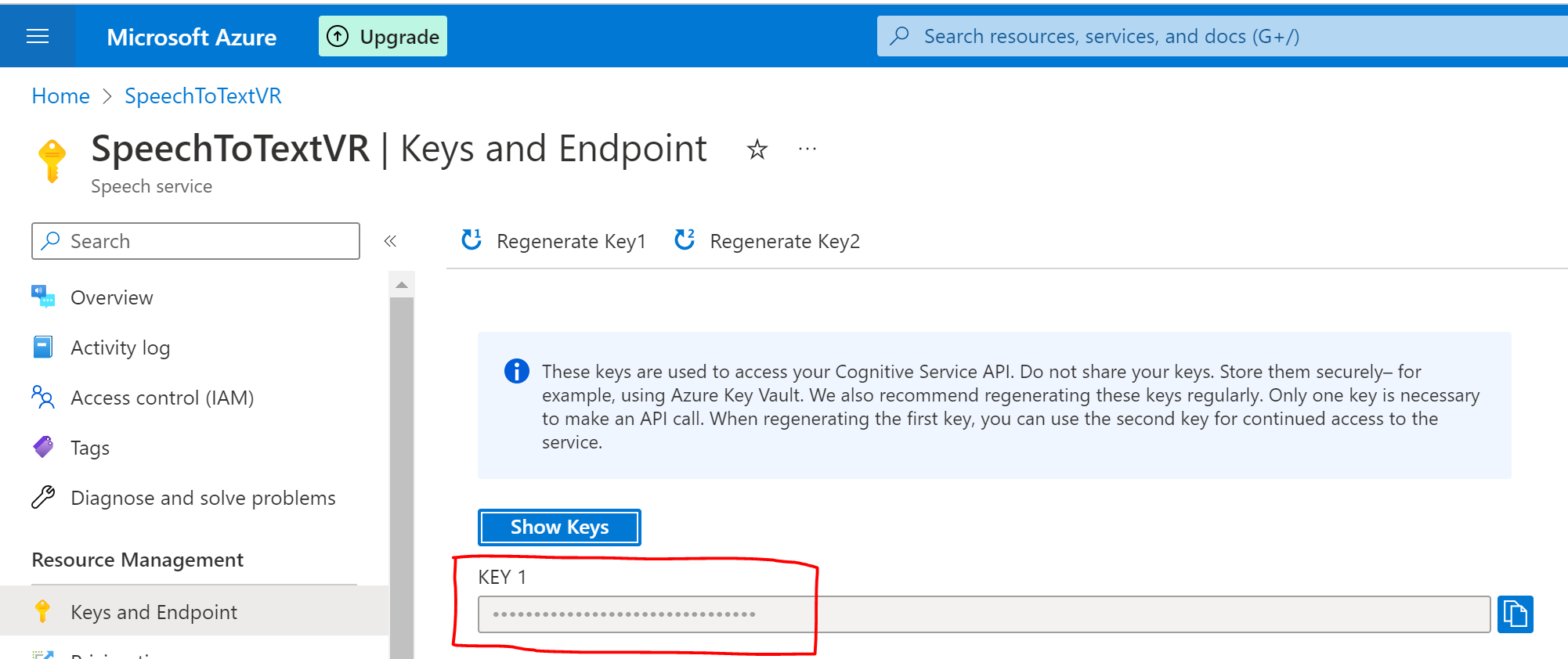 Microsoft Speech Service Key