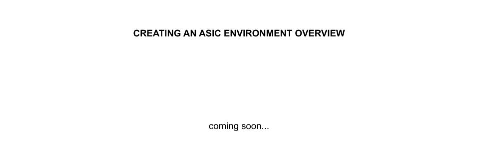 IMAGE - creating an ASIC environment overview - IMAGE