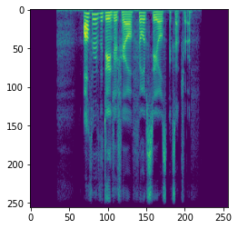 Spectrogram