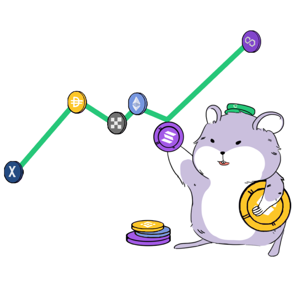 hamsterpocket