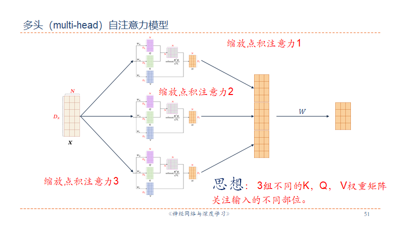 多头变体