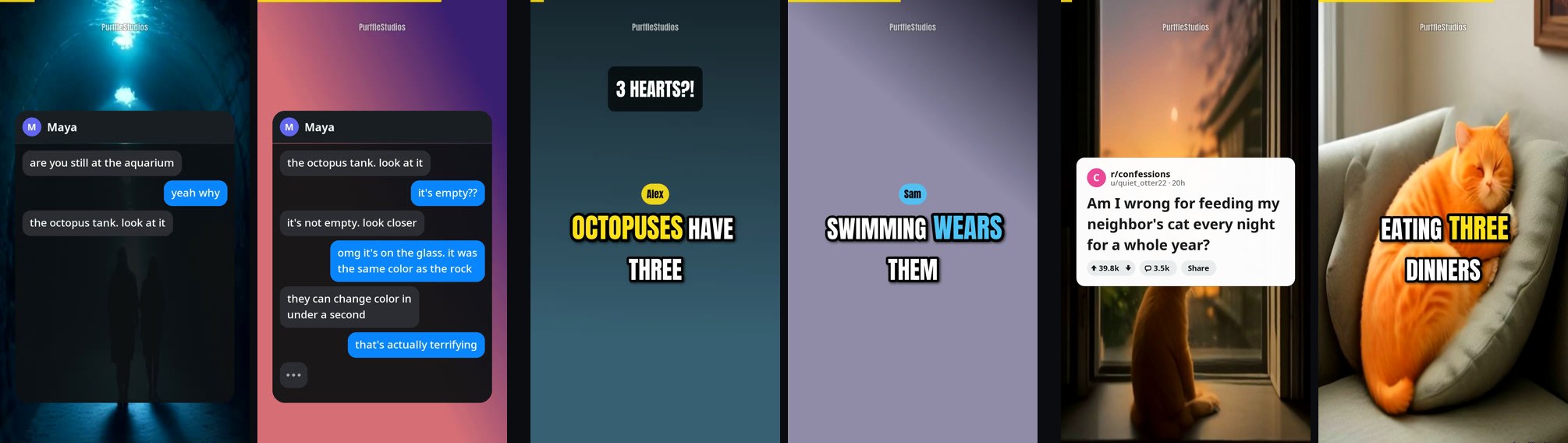 Frames from three PurffleShorts formats: a text-message story with chat bubbles on a phone screen, a two-voice dialogue with speaker name tags in two colours, and a Reddit-style story that opens on a post card with the community, poster, title and vote count