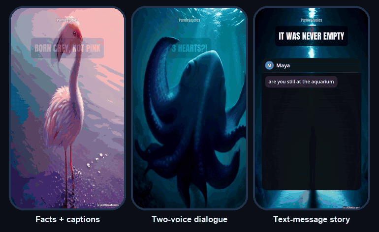 Three Shorts made by PurffleShorts playing side by side: a facts video about flamingos with word-highlighted captions, a two-voice dialogue about octopuses with speaker name tags, and a text-message story on an animated phone screen