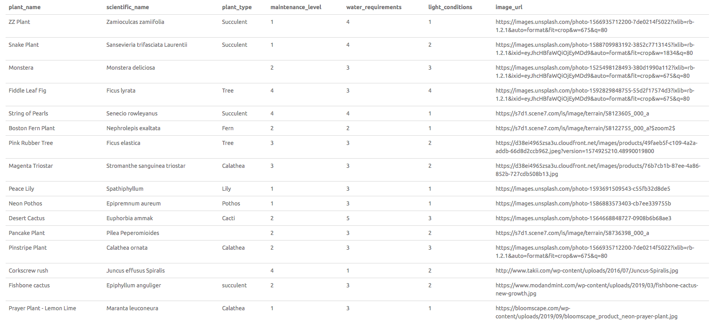 plant_information table