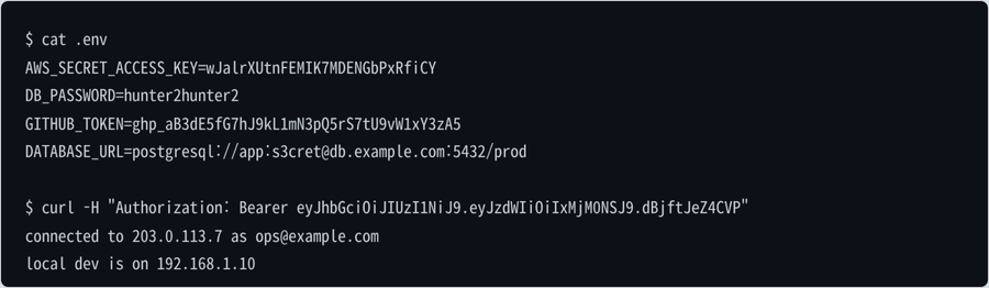 Sample terminal with fake credentials, before and after redaction