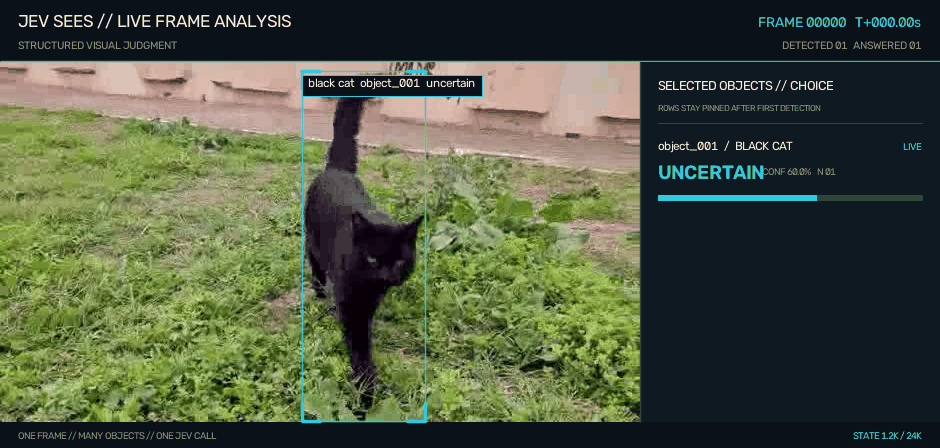 JEV identifies a black cat's motion