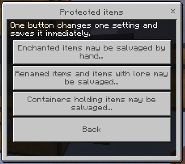 The Protected items group: enchanted, renamed, and container items