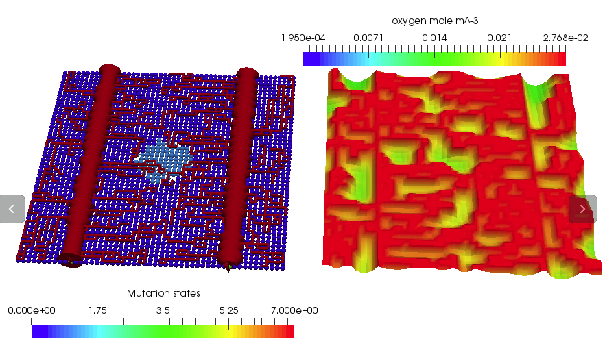 LatticeTurortialEndSample