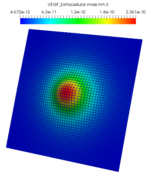 LatticeTutorialSampleVegf