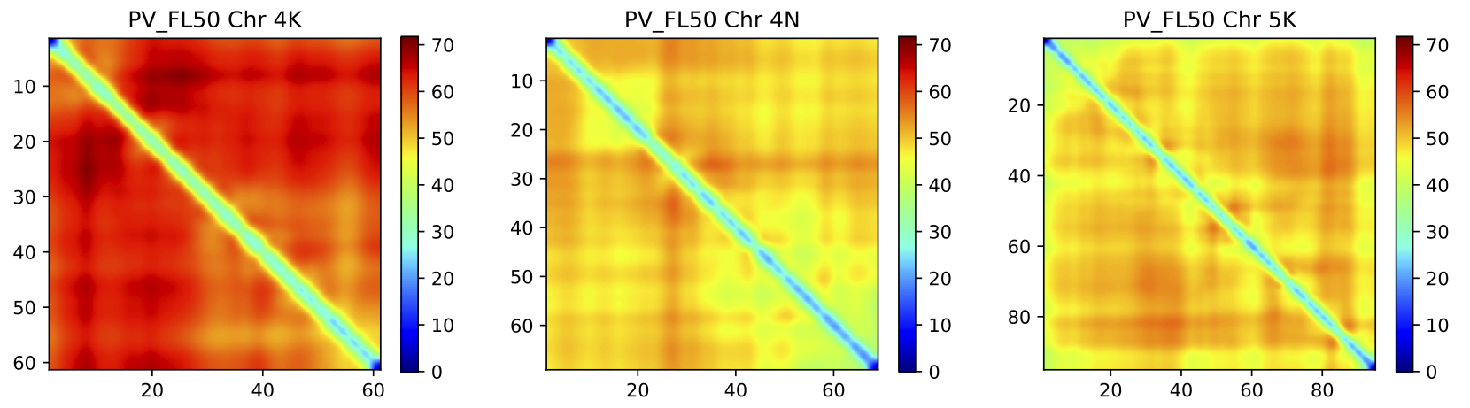 2D Genome Scan