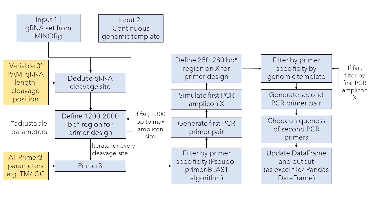 GitHub - CherWeiYuan/primerg: Deep-sequencing primer design for ...