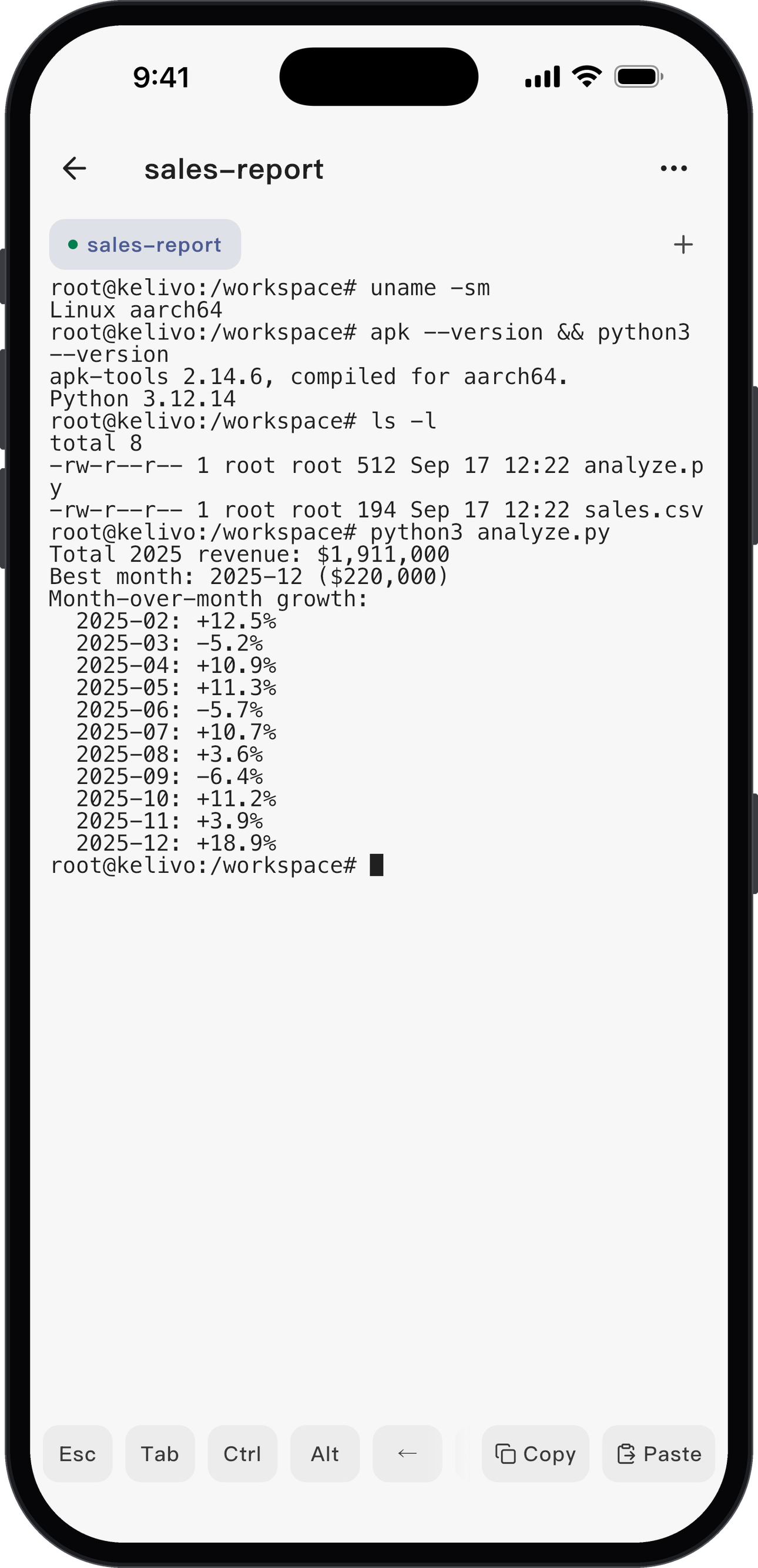 Terminal in the Linux sandbox