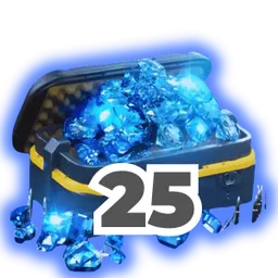 25