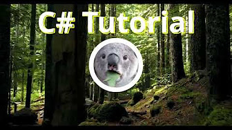 C# Tutorial