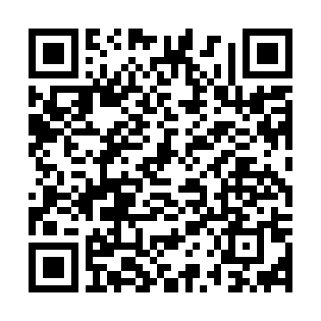 QrCode for downloading geosite.dat file from github
