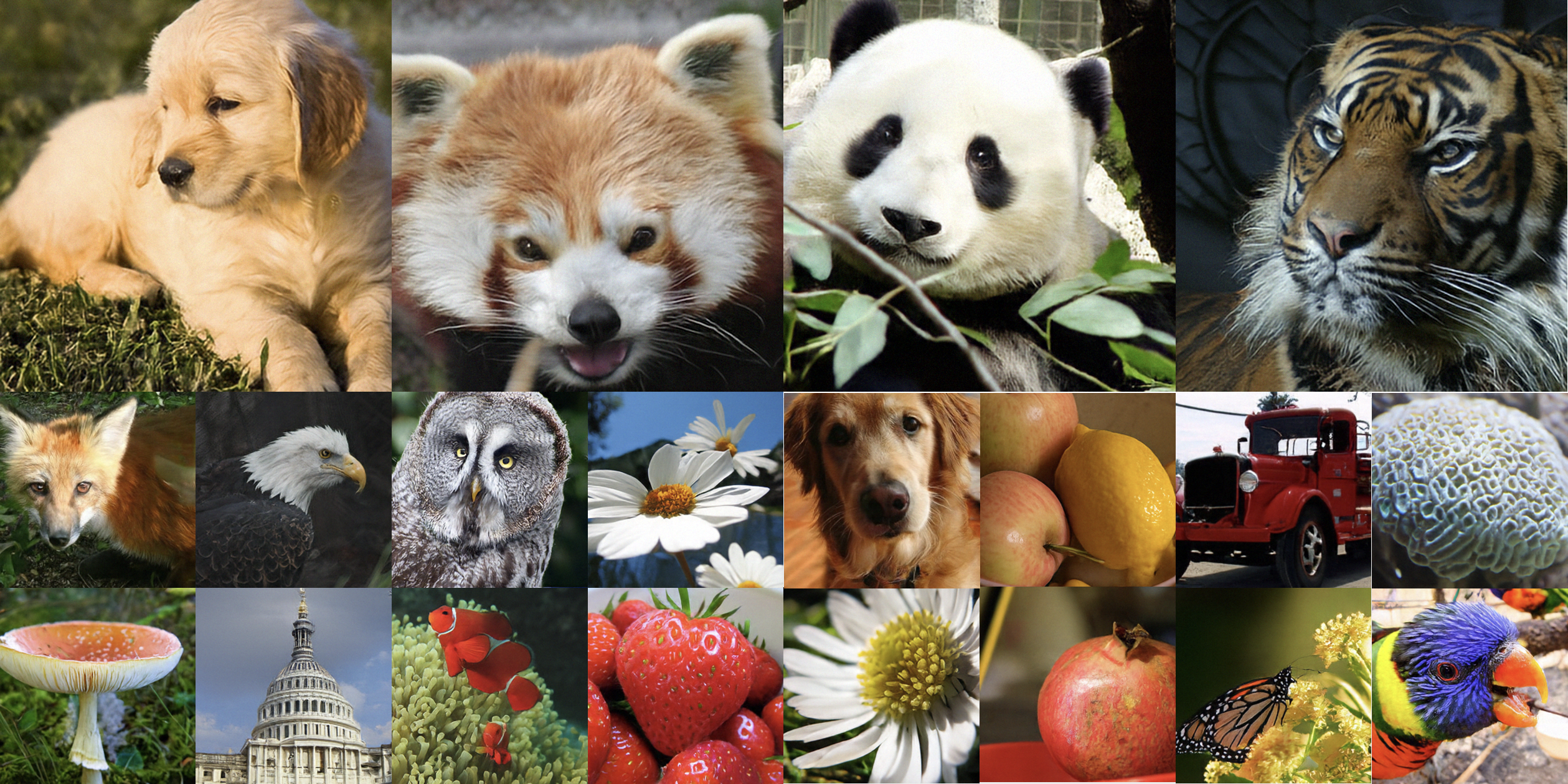 ImageNet samples generated by PerF