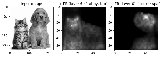 imagenet-pool-ceb.png