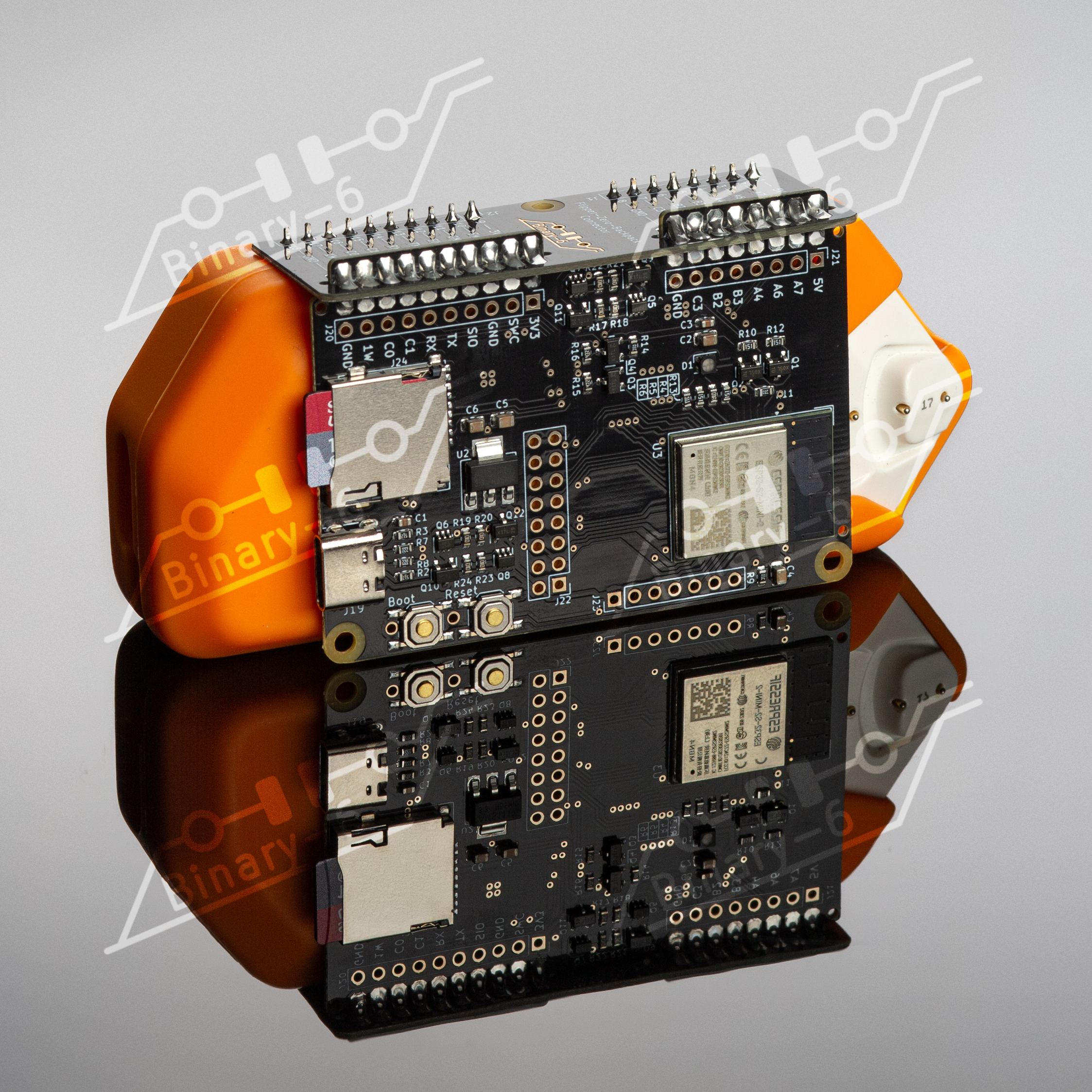 ESP32, from the project README