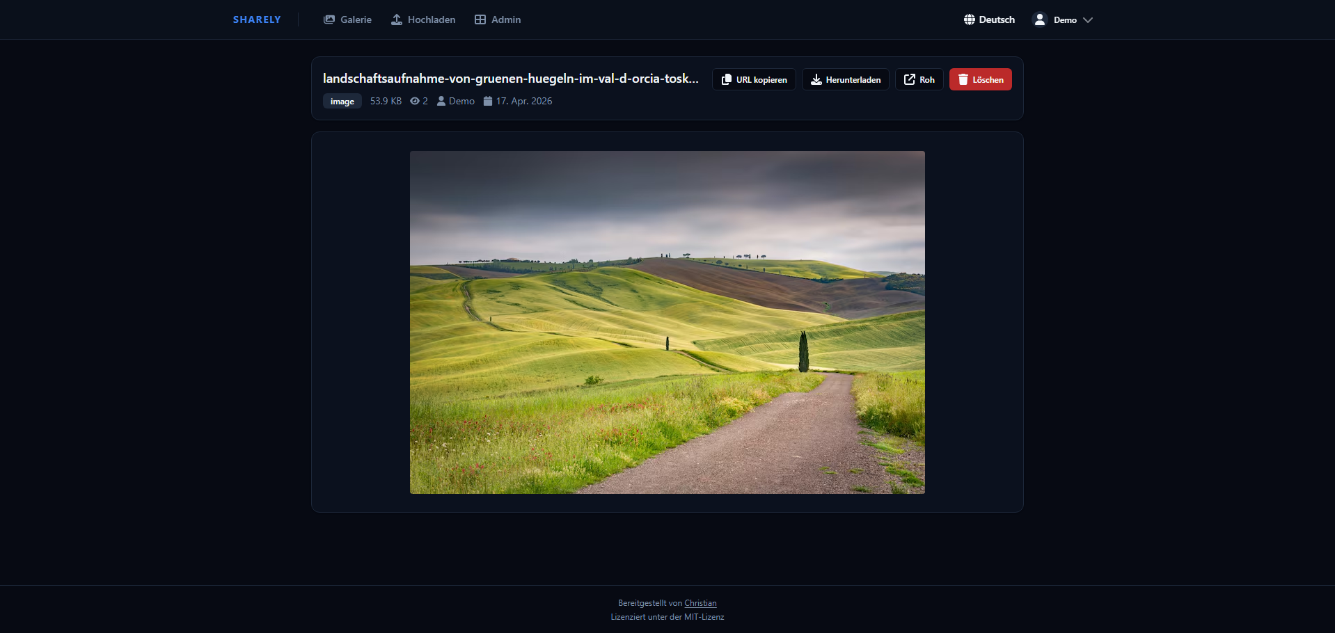 File View