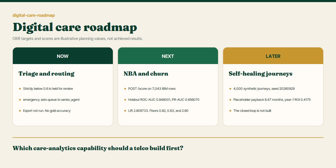 digital-care-roadmap