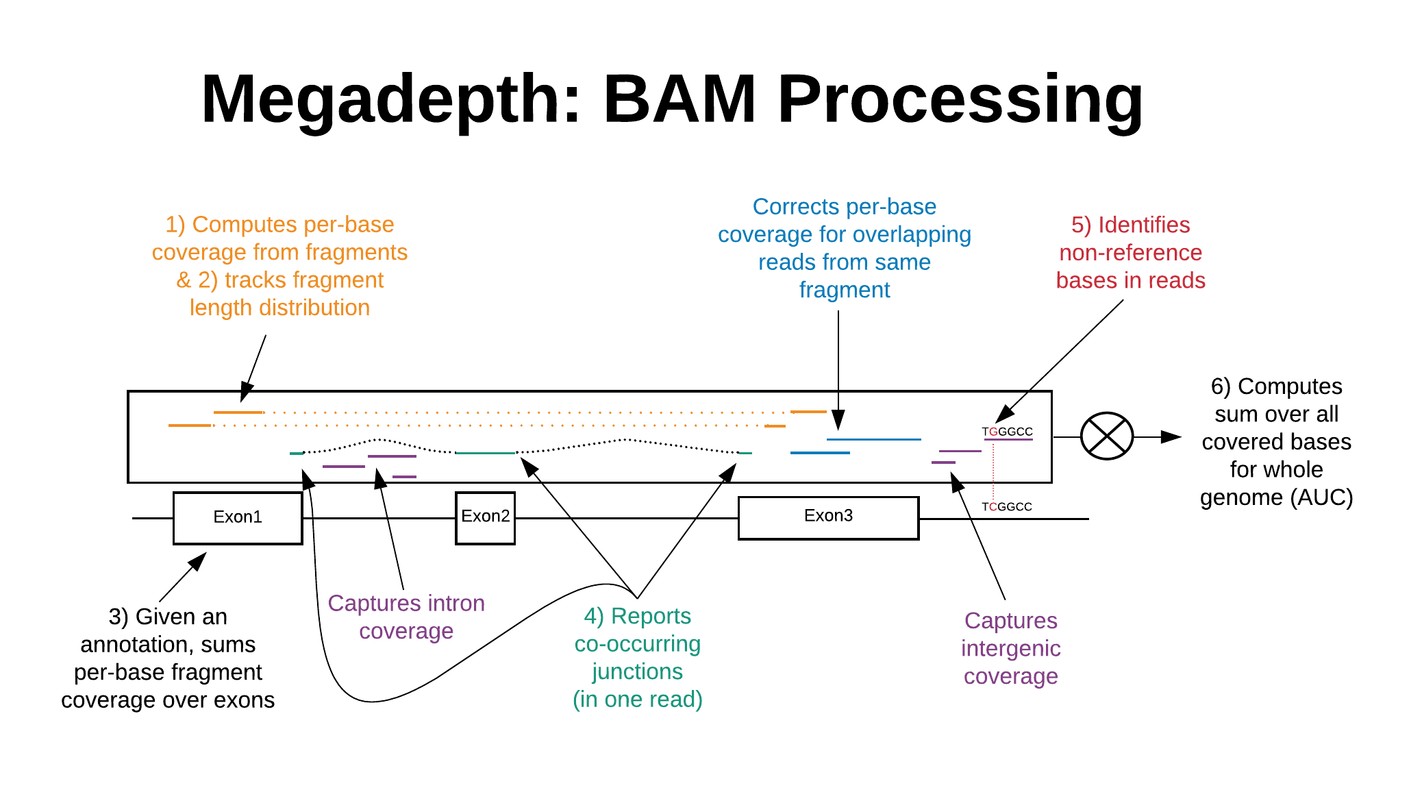 BAM Processing