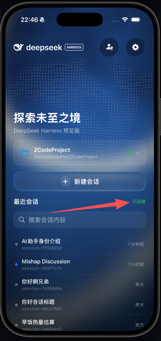 DshMobile 配对完成后的已连接状态