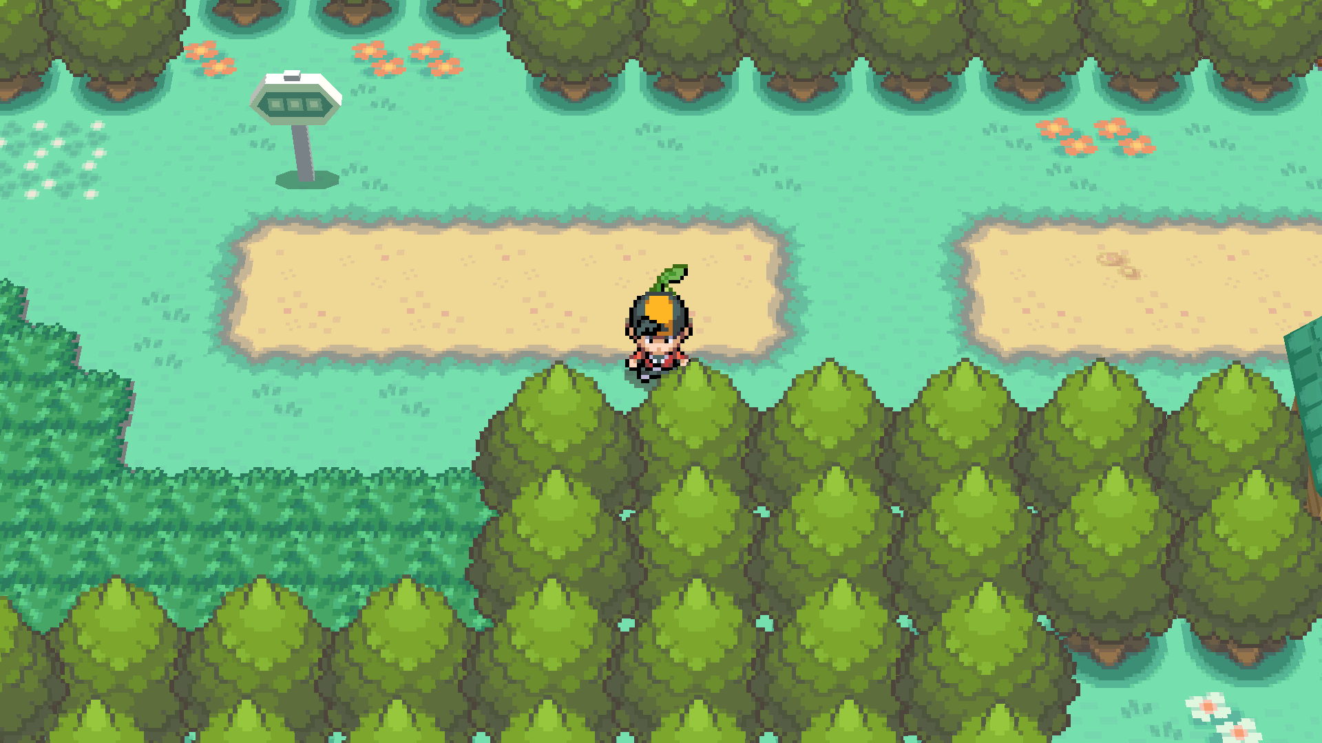 Route 29 in SoulSilver drawn across a widescreen display in ssrecomp