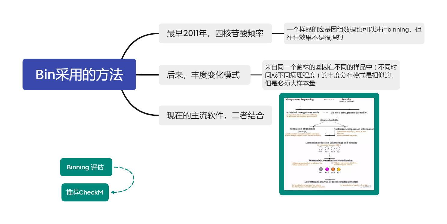 Bin采用的方法