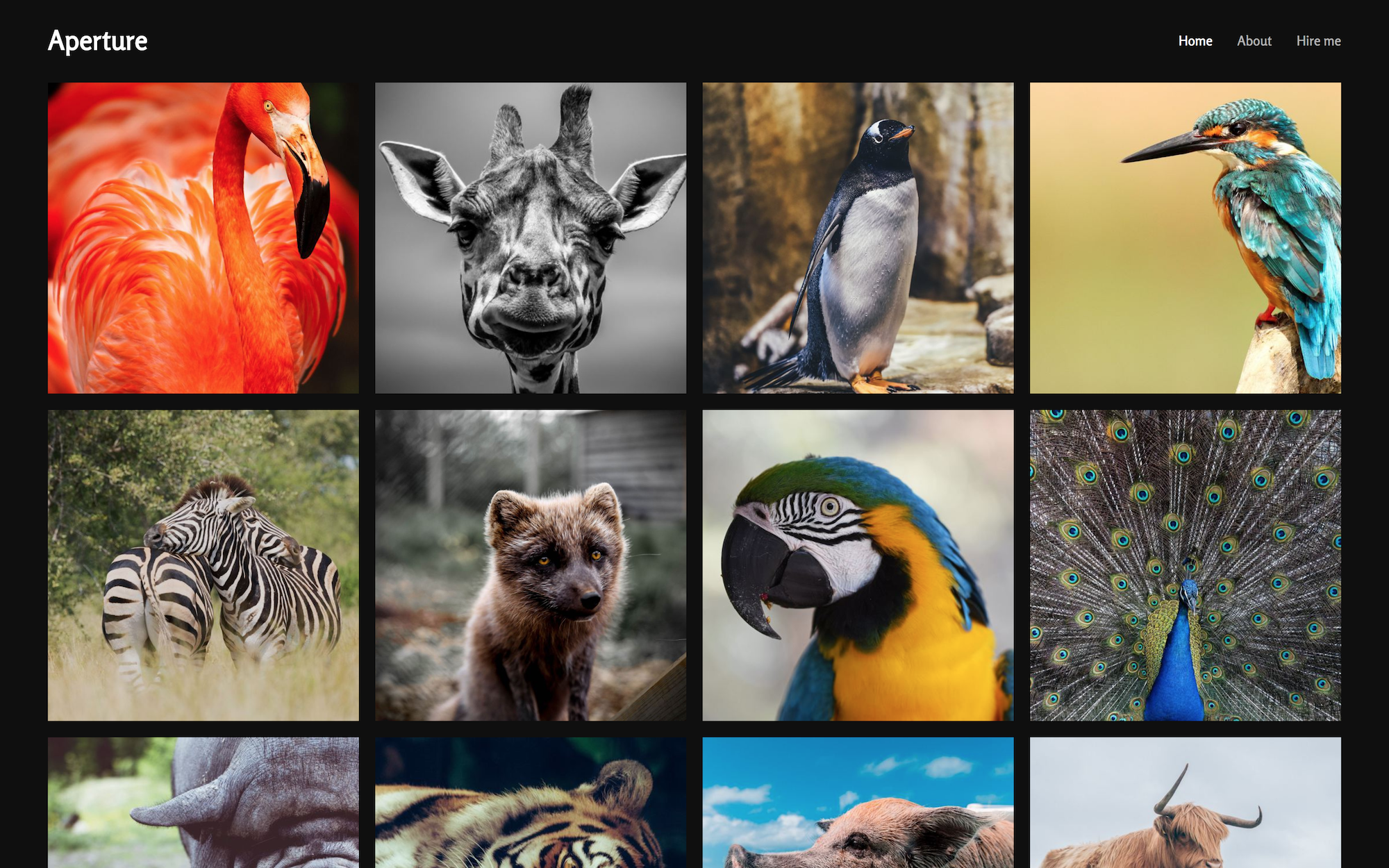 aperture-jekyll-template 网站模板截图