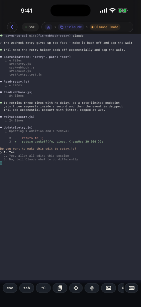 A Claude Code pane in the terminal
