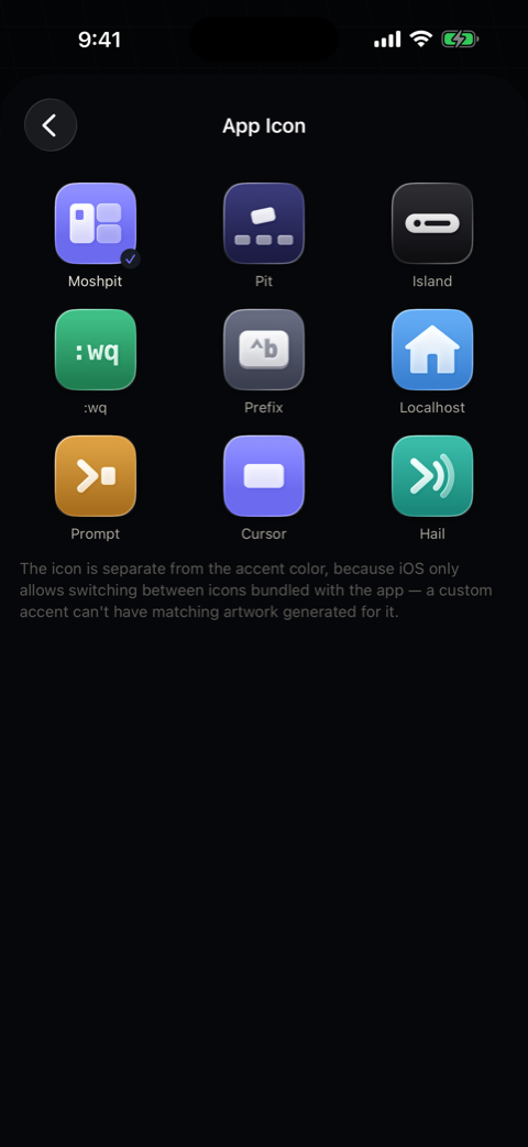 Icon gallery with nine Liquid Glass icons