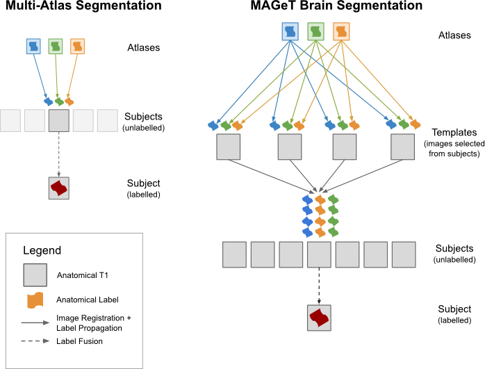 Multi-atlas and MAGeT brain operation schematic