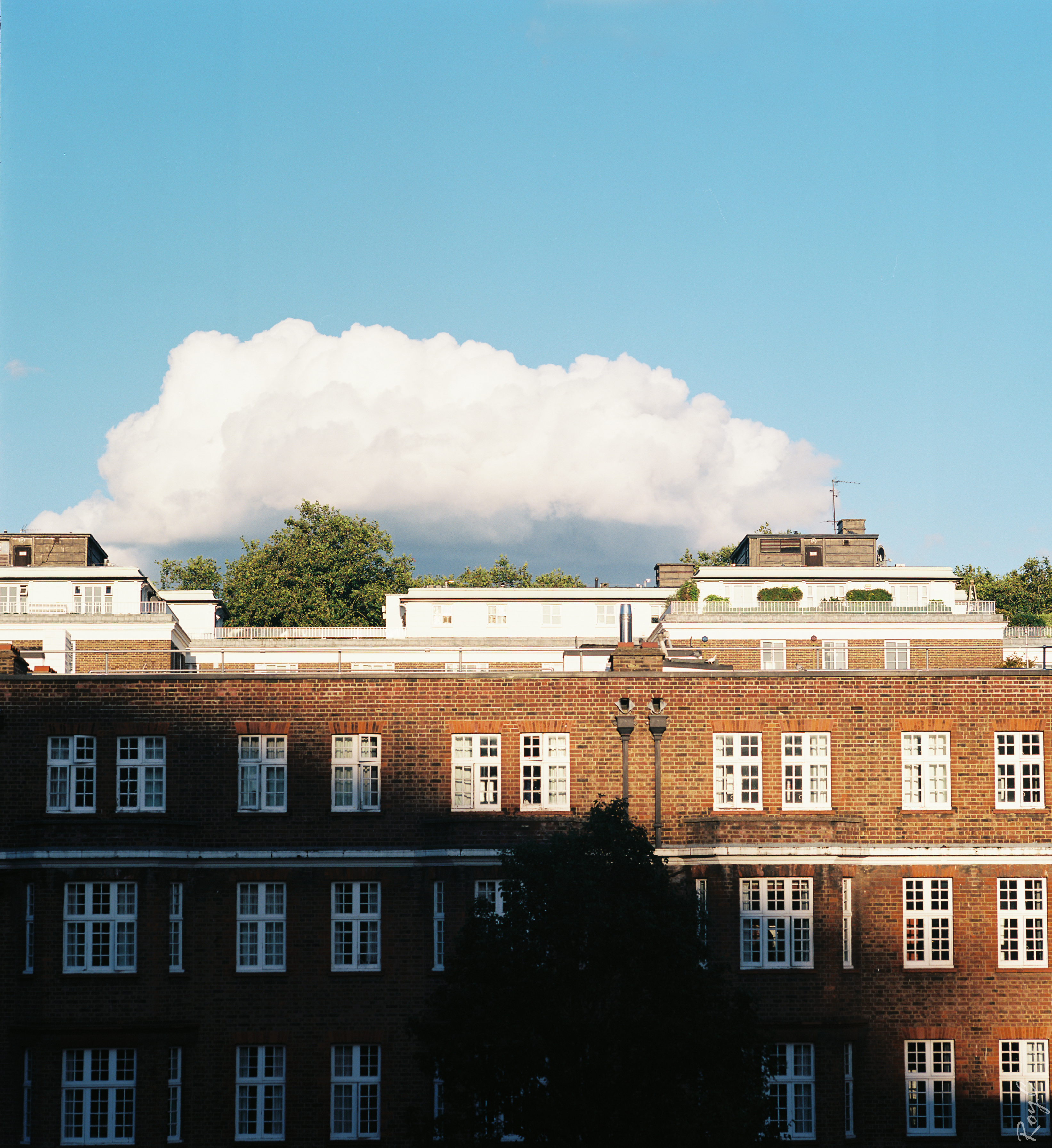 Window View of a Sunny Day