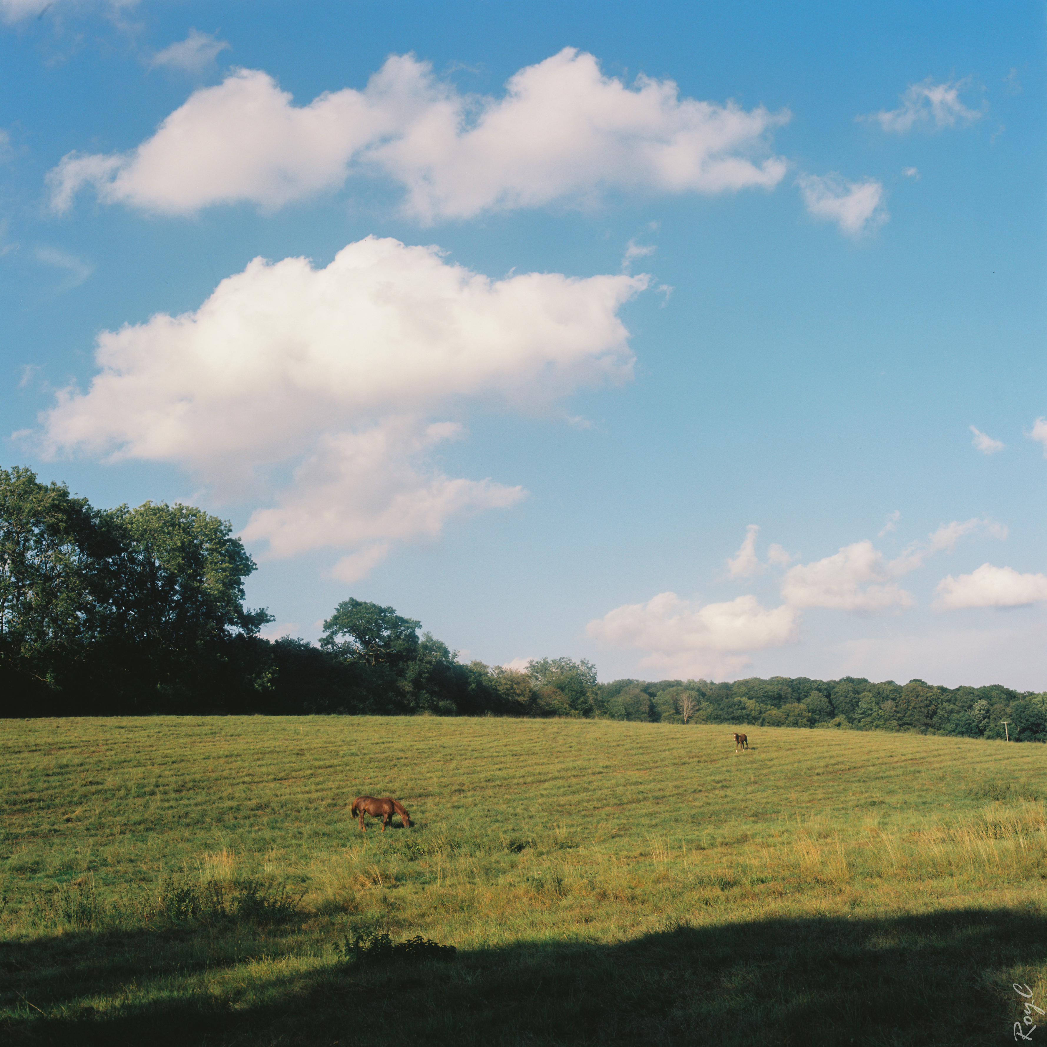 Countryside - Chesham