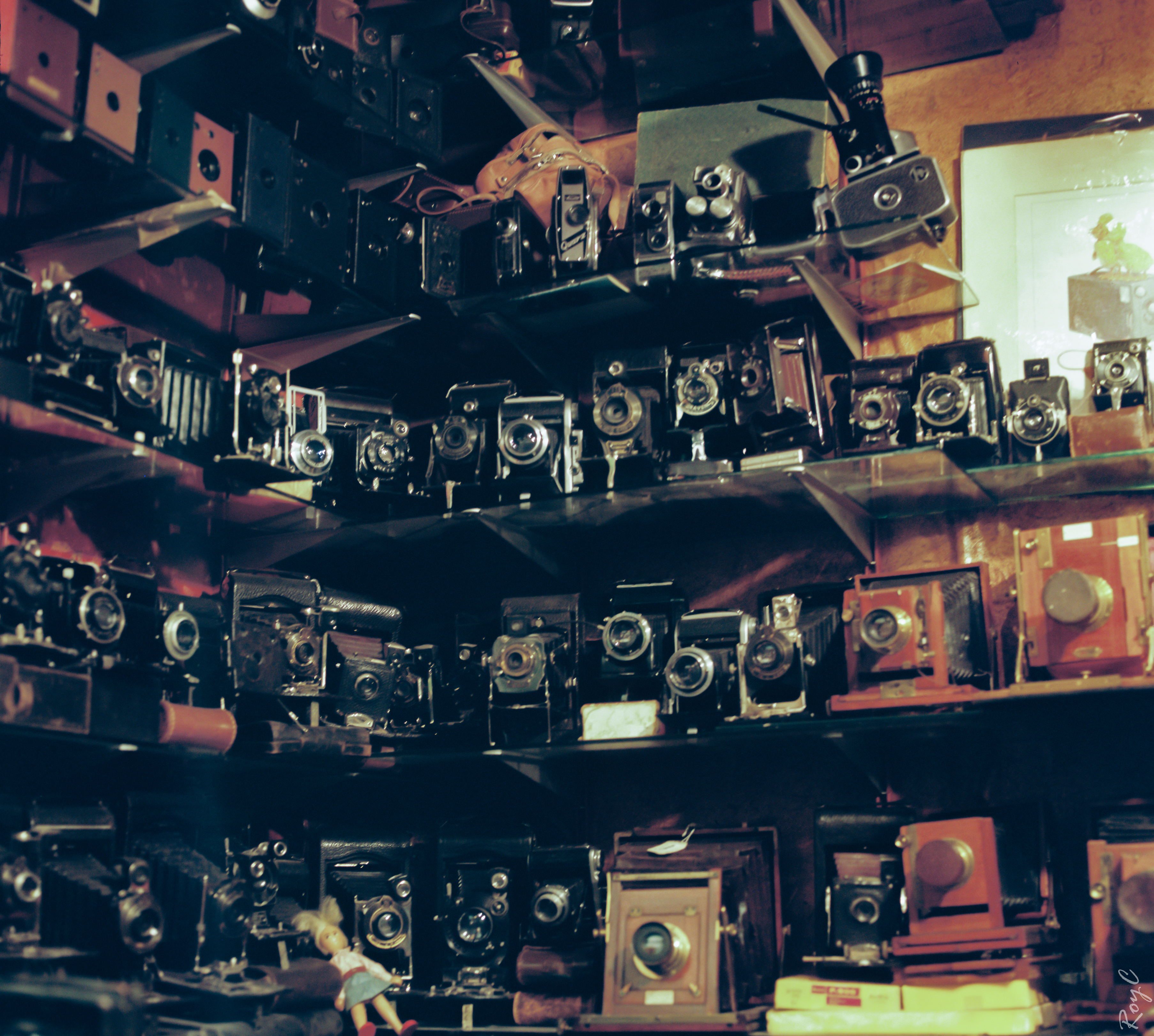 Film: Joseph's Camera Store 1