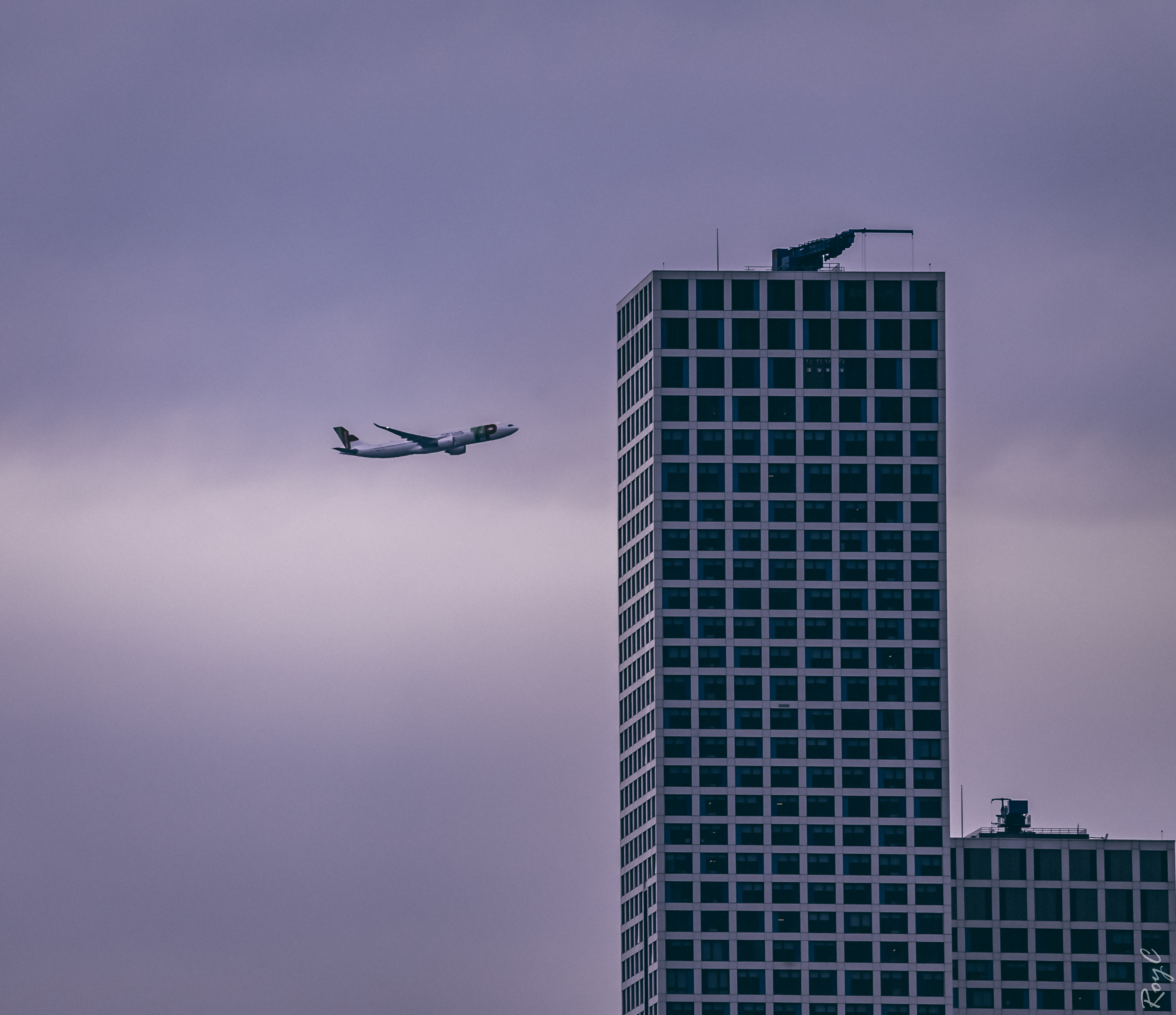 Plane in the Purple Day