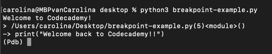 Terminal window showing the breakpoint() formula