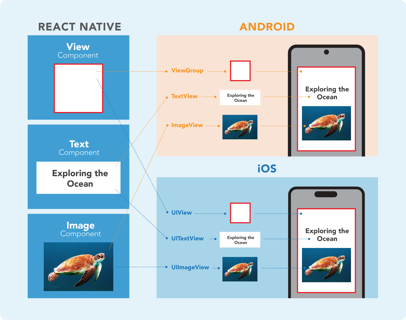 React React Native Components Codecademy