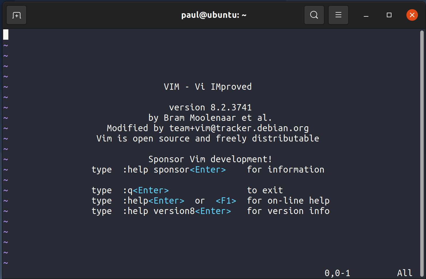 Vim terminal screenshot