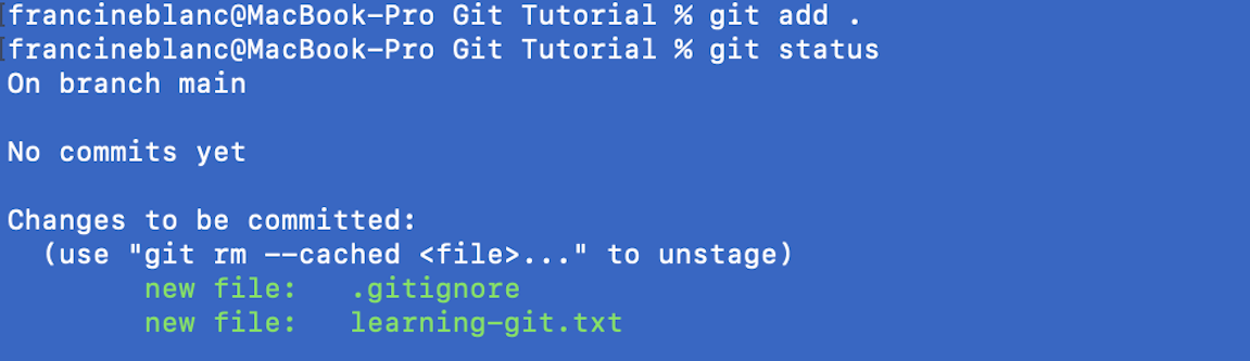 Image of git status command being run after file in staging area