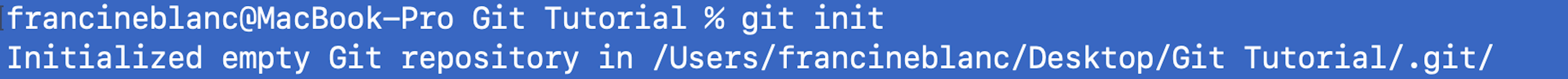Image of git init command being run