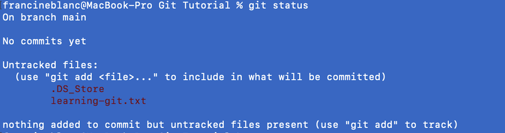 Image of git status command being run for untracked files