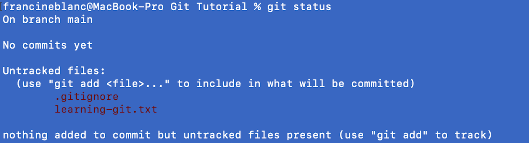 Image of git status command being run with gitignore file added