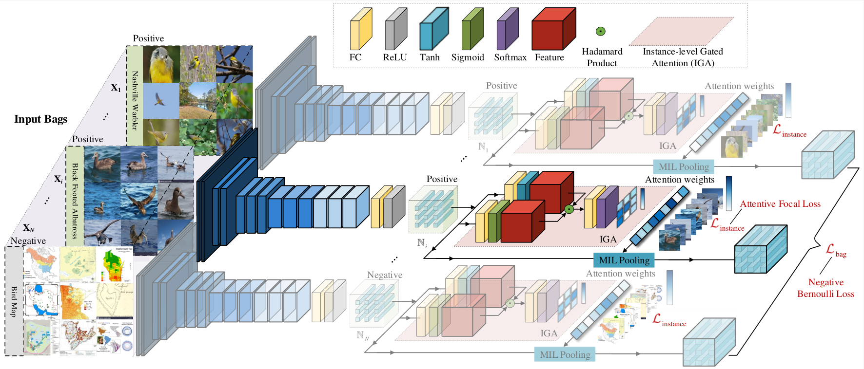 network