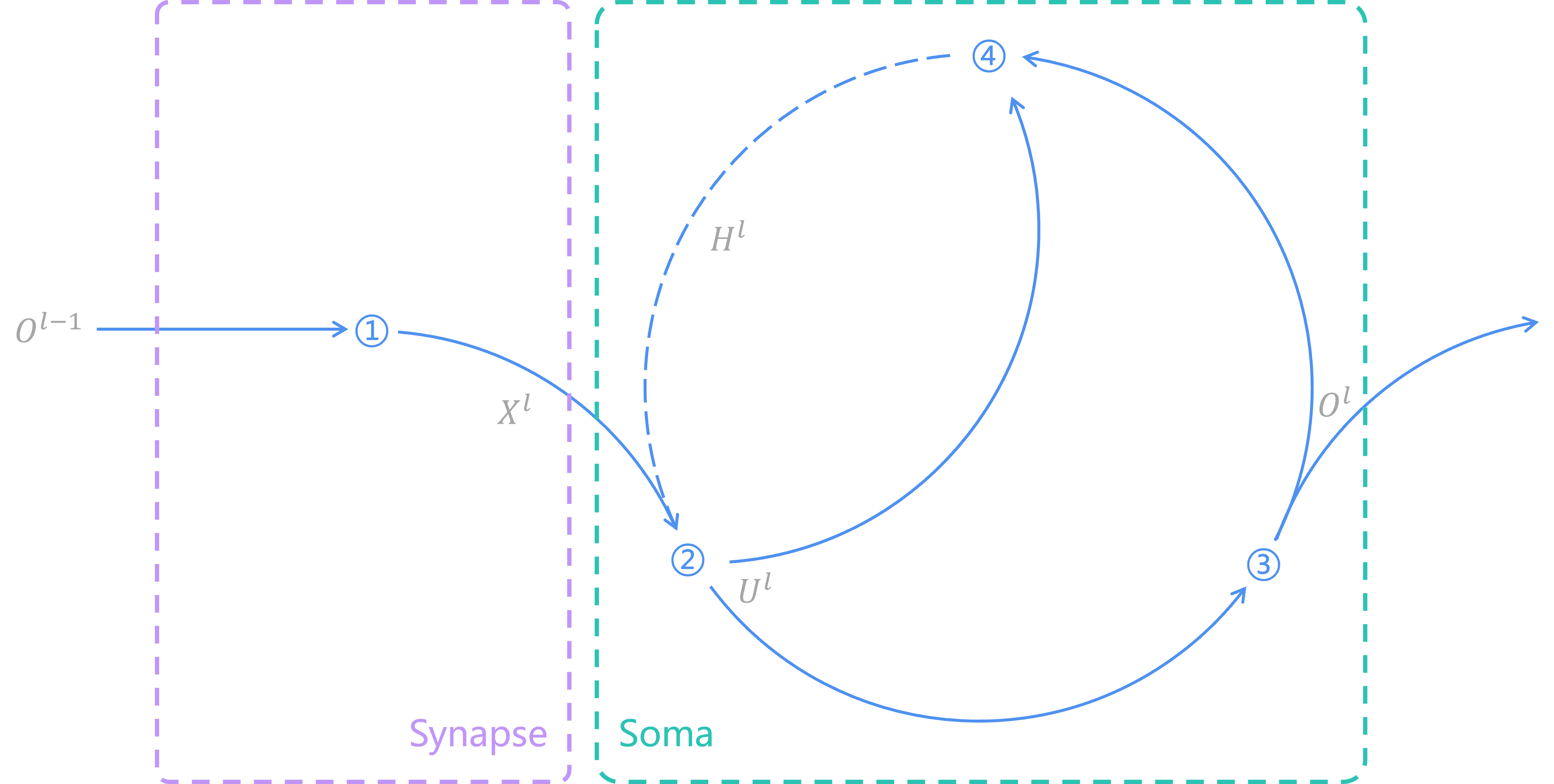 SNN Structure