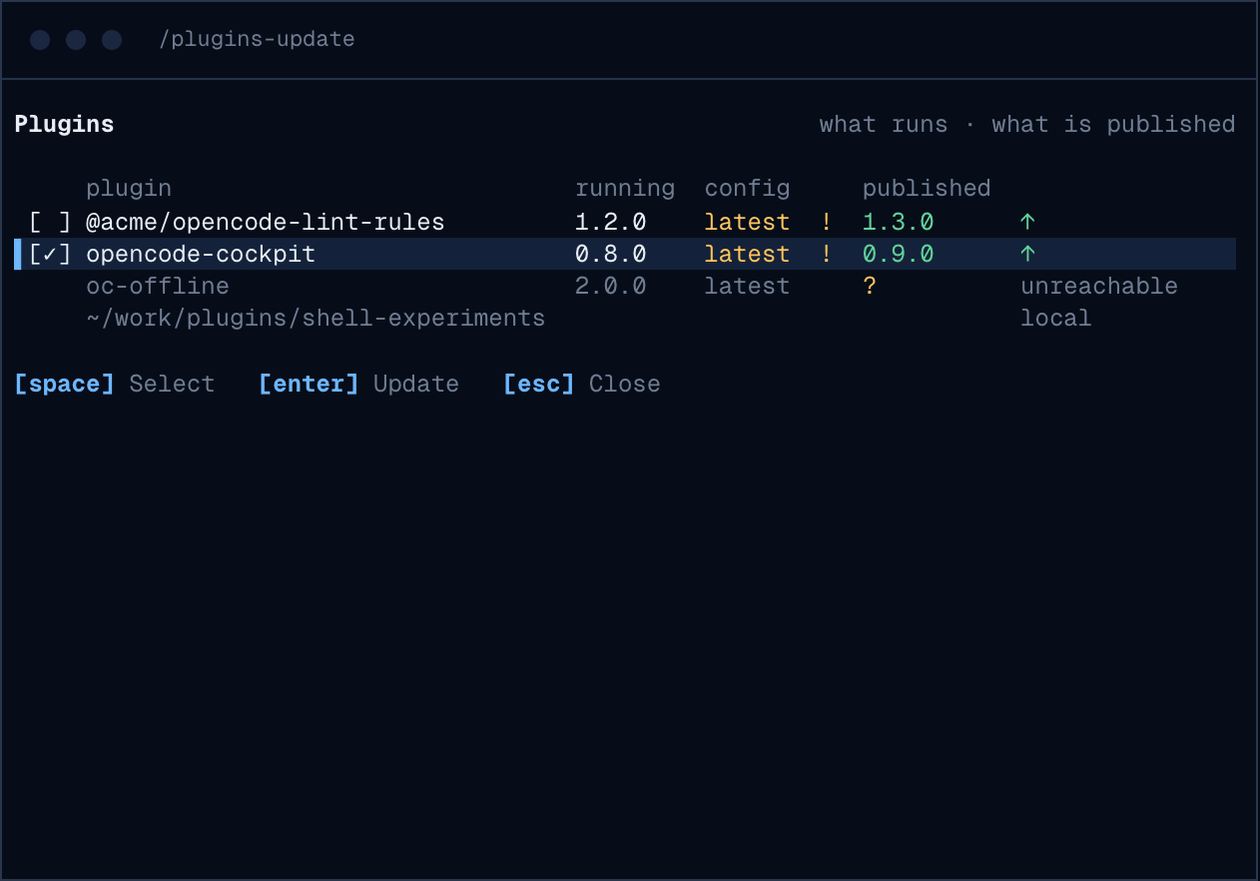 /plugins-update: what each plugin runs beside what is published, two selected for an update